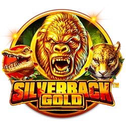 video slots how to bet on dubai world cup